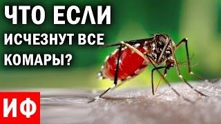 ЧТО ЕСЛИ комары исчезнут? #ИФ