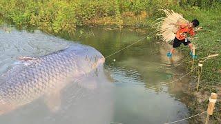 Fishing techniques for fishing with earthworms in Highland Boy Khai harvests lake carp for sale