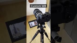 Canon R7 & R6. Custom WB in Video.