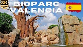 【8K】Valencia: Bioparc Valencia - Walking Tour - Spain