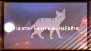 #Трейлер канала-CatWar  вместе с Льди!