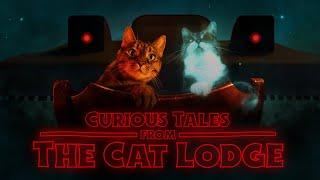 Curious Tales from The Cat Lodge | Official Trailer (2021)