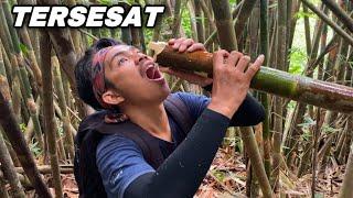 Terdampar di hutan, saat lagi cari buah