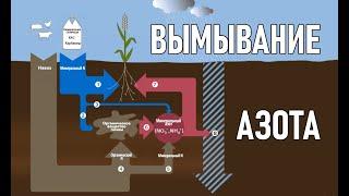 Вымывание нитратов. Потери азота в почве