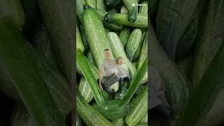 split cucumber #trending #meme #viralvideo #shorts