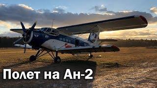 Ан-2 - осмотр и полет в VIP-салоне