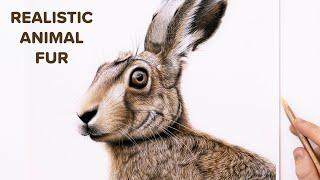 How To Draw Realistic Animal Fur (Hare) - Pastel Art Tutorial BEGINNERS 4K