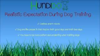 Realistic Expectation During Dog Training