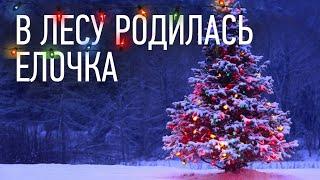  В лесу родилась Ёлочка - детская новогодняя песня!