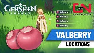 Genshin Impact Vallbery Locations - Lisa & Noel Ascension