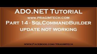 Part 14   Sqlcommandbuilder update not working