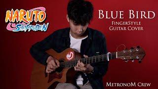 Blue Bird - Naruto Shippuden (ナルト疾風伝) - Fingerstyle Guitar Cover