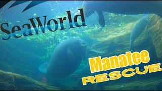 Manatee Rescue Full Tour SeaWorld Orlando Florida World's Largest Manatee Rehabilitaion Center