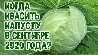 Когда квасить капусту в сентябре 2020 года? Агрогороскоп, кулинарный гороскоп на сентябрь 2020 года