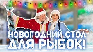 Аквариумные новости с Владимиром Ковалёвым (27.12.2024). Новогодний стол для рыбок!