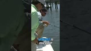 Redfish Mastery: Dock Fishing Techniques & Hook Setting Secrets