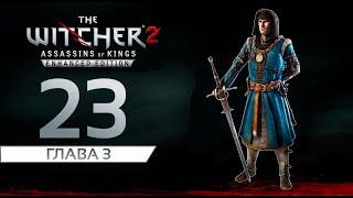 Прохождение: The Witcher 2 - Assassins of Kings | Именем Темерии | Главный Свидетель [#23]