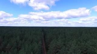 Rising Up Over The Gravel Road In Forest - cutestockfootage.com