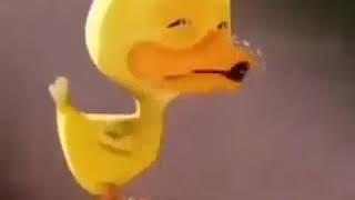 duck crying but it's the full song