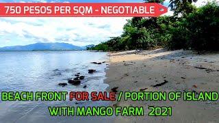 LFS 40 | Beach For Sale with Mango Farm Lot | Beach Front Private Resort 2023