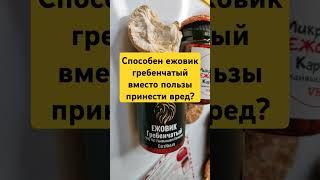 Способен ежовик гребенчатый вместо пользы принести вред? #ежовик #львинаягрива  #ежовикгребенчатый
