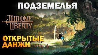 Открытые данжи I Подземелья I Локации с усиленными монстрами I Open dungeons - Throne and Liberty