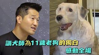 11歲的古牧犬因生病而性情大變，結果當訓犬師講出它的心聲後，全場人員都感動落淚