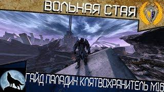 Гайд Паладин Клятвохранитель-Палохил Neverwinter М16