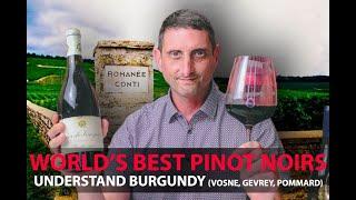 Finest Burgundy Wines | Your Guide to Top Pinot Noirs | Vosne-Romanée, Pommard, Gevrey-Chambertin...