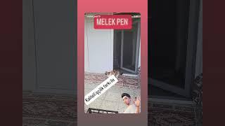 Melek pen pvc balkon çelik kapı dusakabin imalat tamirat tadilat