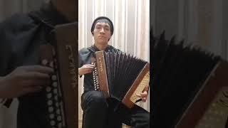 Татарская песня Мин сине гомерем буена (на гармошке)