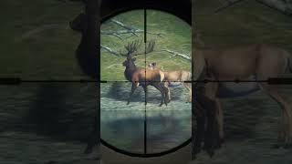 Hunter call of the wild: gold red deer