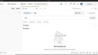 3.7  Testing WebSocket Connection Using PostMan