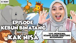 Belajar dan Bermain Episode Hewan Kebun Binatang Untuk Balita - Belajar Kata, Lagu Interaktif Balita