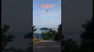 Отношение полиции к мигрантам #корея #кореясеул #арбайт #работавкорее