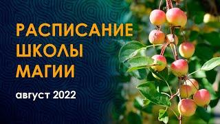 Расписание школы магии. Август 2022