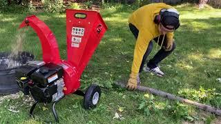 Great Circle mini wood chipper VS 12' tree