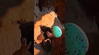 अंडे का फंडा ।#shorts #trending #animation #cartoon #viral #video #movies