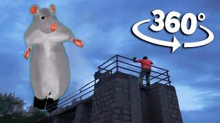 360° GIANT Rat Dance - Funny meme animation