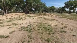 Hole 1 - Adams Hollow Disc Golf Course