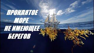 Море , не имеющее берегов .Самое большое море в мире. Саргассово море