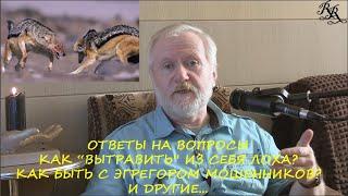 КАК "ВЫТРАВИТЬ" ИЗ СЕБЯ ЛОХА? КАК БЫТЬ С ЭГРЕГОРОМ МОШЕННИКОВ? И ДРУГИЕ ВОПРОСЫ ОТ ПОДПИСЧИКА