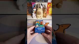 Hunting the RAREST Pokenots Cards... (Day 4) #pokemontcg