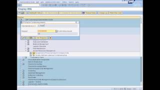 SAP Training : SAP HCM Enterprise Structure