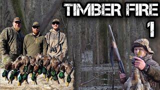 NON-STOP Timber Duck Hunting (Best Hunts All in One) Full Movie
