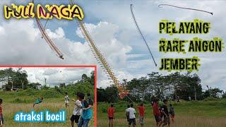 Bocil keseret Naga. Rare Angon jember full naga