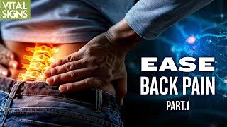 Back Pain, Migraine, IBS Relief Without Drugs | Dr. Howard Schubiner | Trailer | Vital Signs