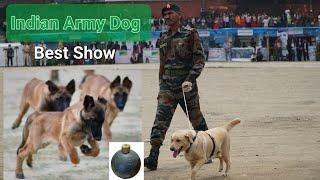 Indian Army Dog Show. 78th Independent Day Celebration at Tuensang Hq.