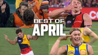 FUNNY footy moments  (April, 2024)