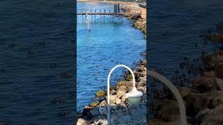 #АНАПА 02.03.25ВЕСНА! НАБЕРЕЖНАЯ #море #пляж